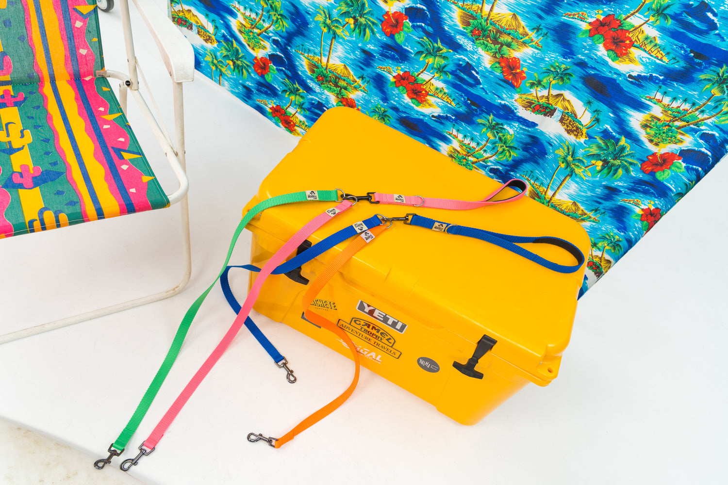 CORREAS CLÁSICAS PERSONALIZABLES