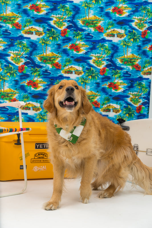 Bandana maxi cuadros verde