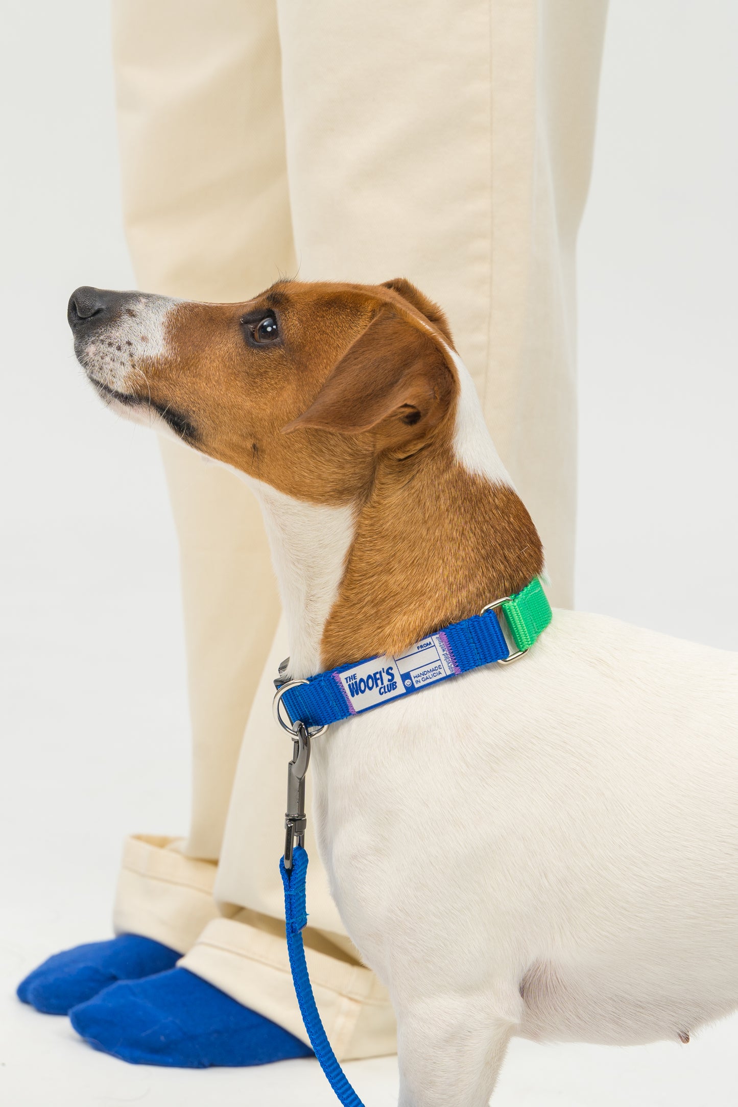 Collar Rio