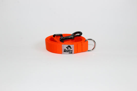 Leash Correa personalizable - Naranja
