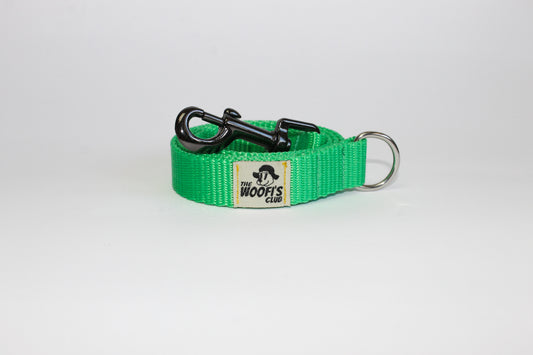 Leash Correa personalizable - Verde