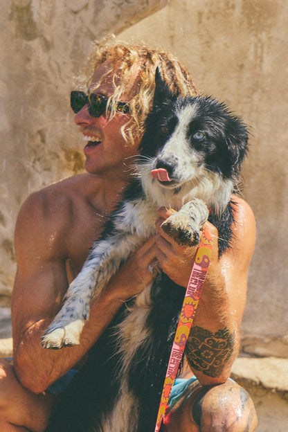 Collar para perro - Yinsun Sand
