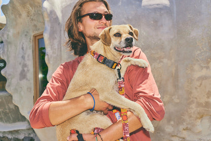 Collar para perro - Yinsun Sand