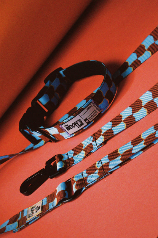PACK - Collar y correa perro Checker Malibu