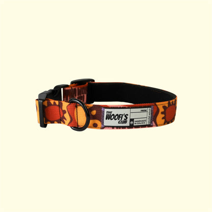 Collar para perro - Yinsun Sand