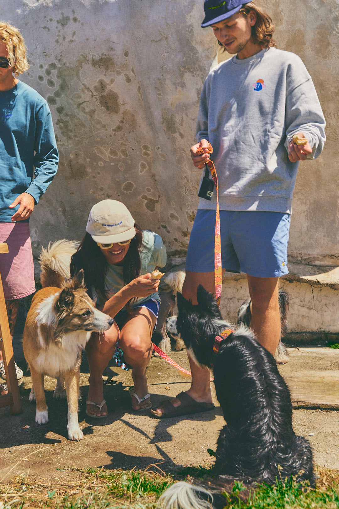 Collar para perro - Yinsun Sand