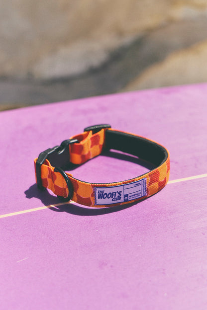 Collar para perro - Checker Dessert