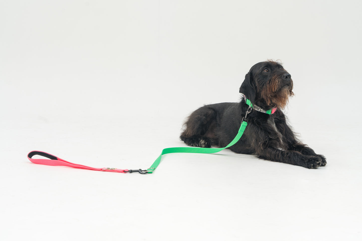 Leash Correa personalizable - Verde