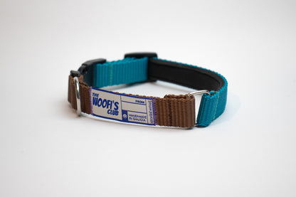 Collar sostenible para perro aquamarina y marrón