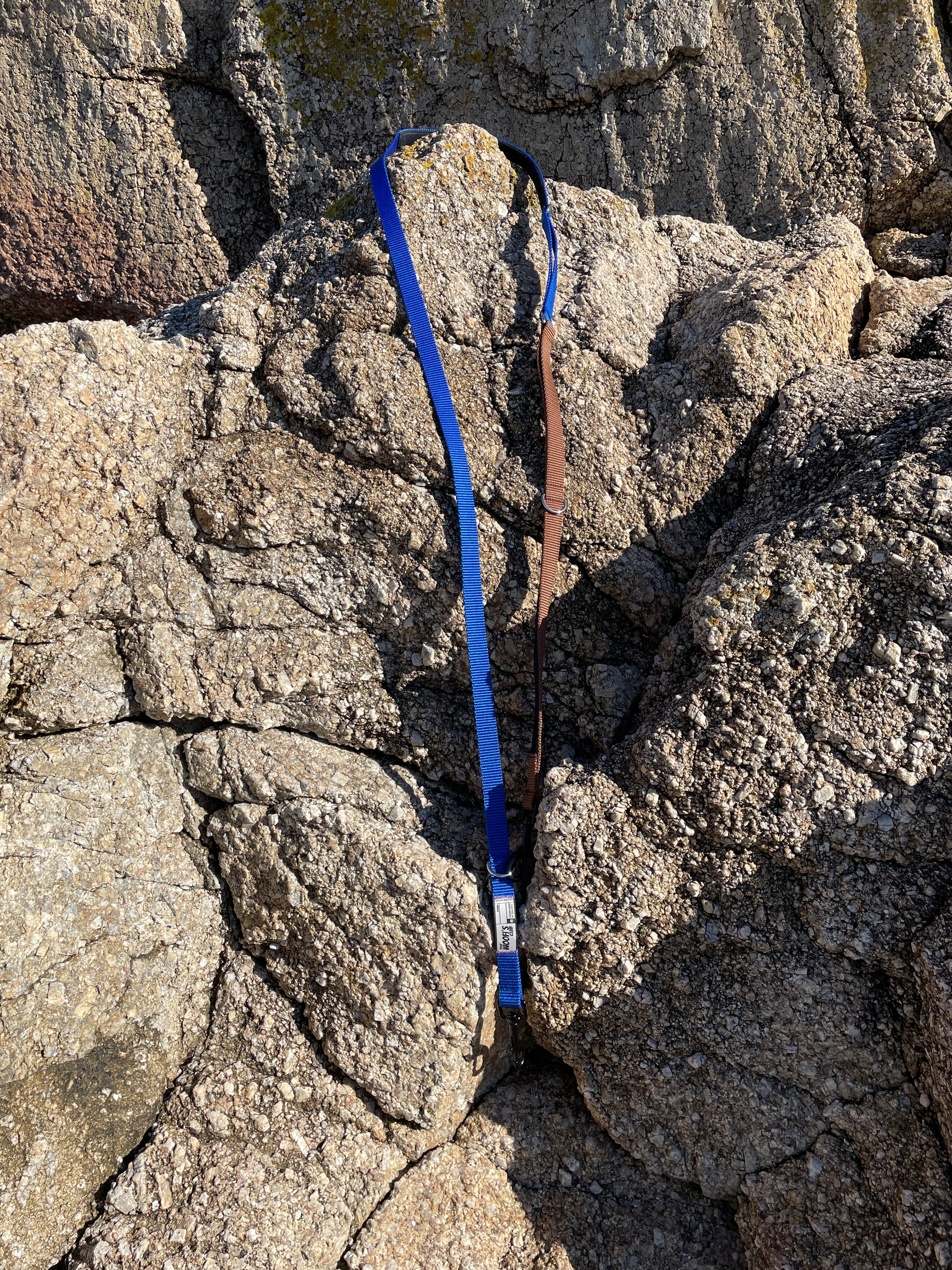 Correa azul y marron sobre roca