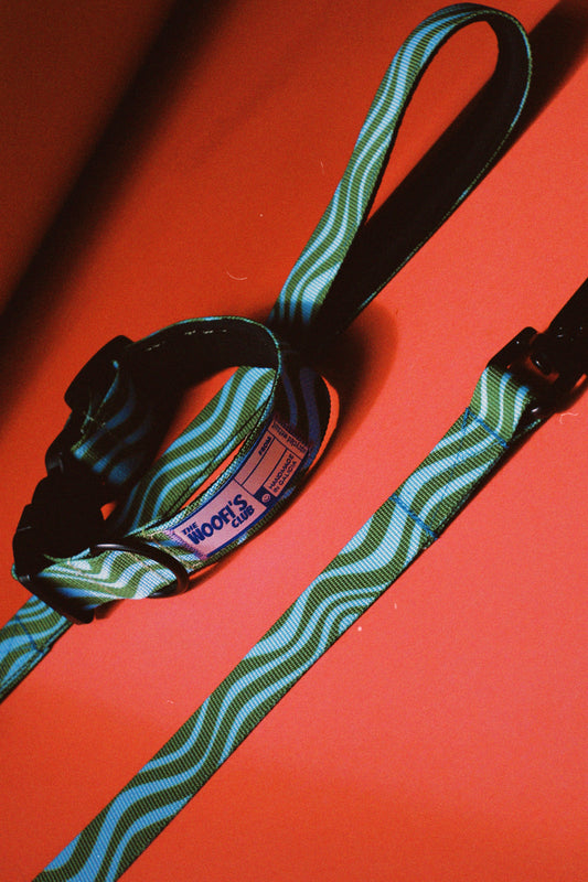 PACK - Correa y collar perro Copacabana Wave