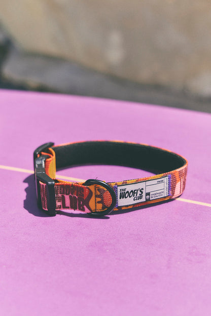 Collar para perro - Yinsun Sand