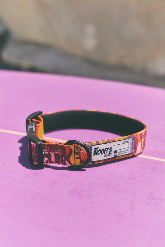 Collar para perro - Yinsun Sand