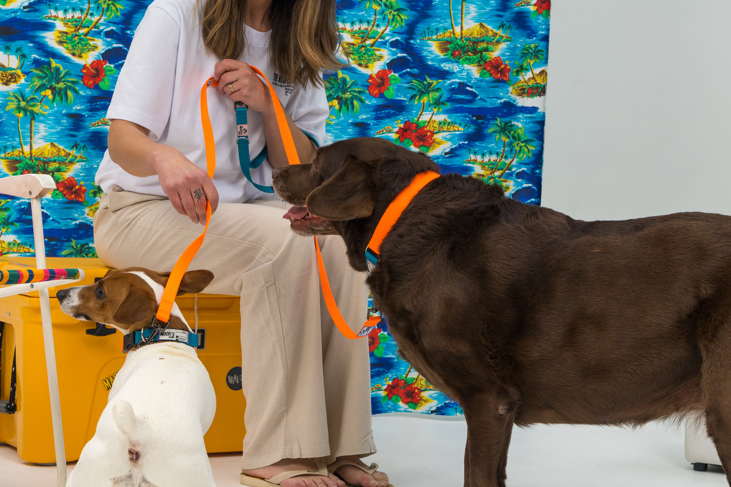 Leash Correa personalizable - Naranja