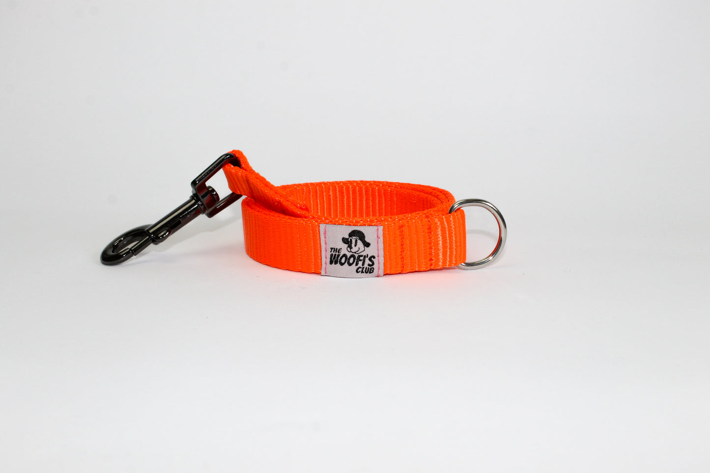 Leash Correa personalizable - Azul aguamarina