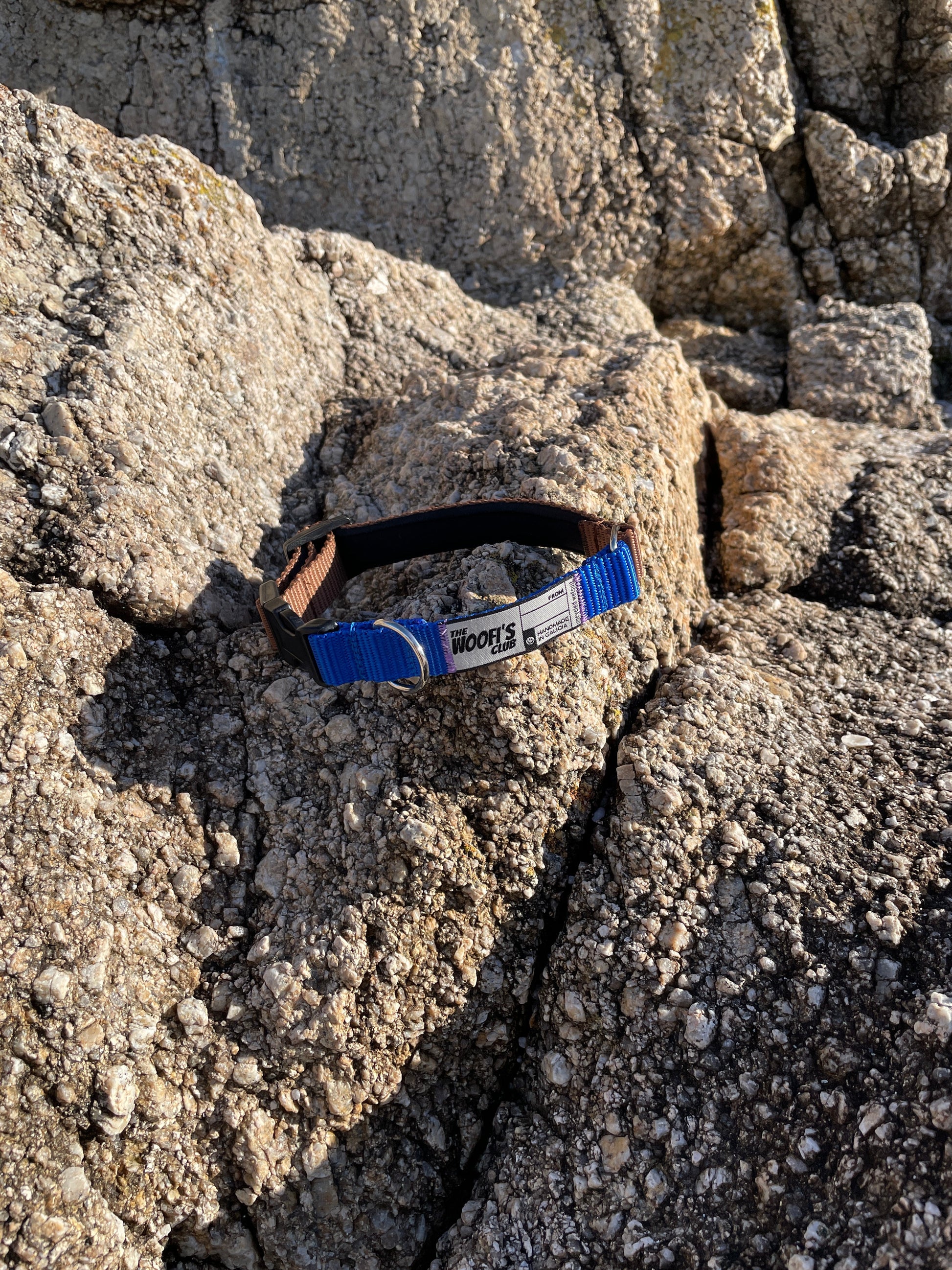 collar sostenible para perro azul en la playa